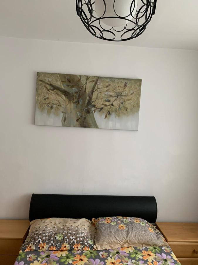 Apartament Carolina Parc Άλμπα Ιούλια Εξωτερικό φωτογραφία